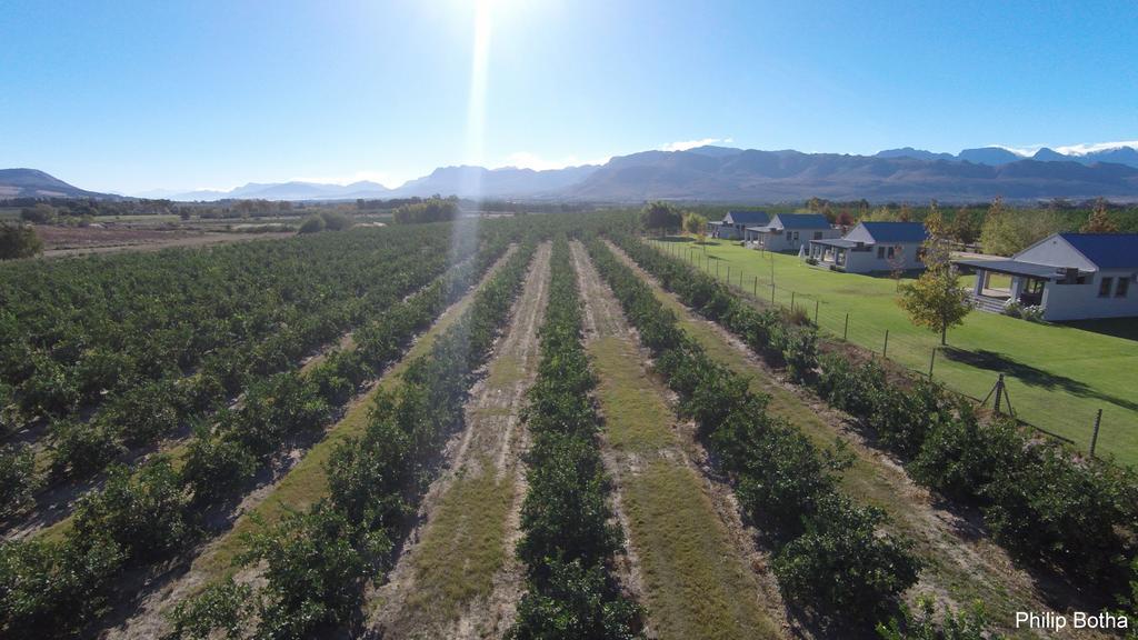 Paddabult Self Catering Cottages Paarl Bagian luar foto